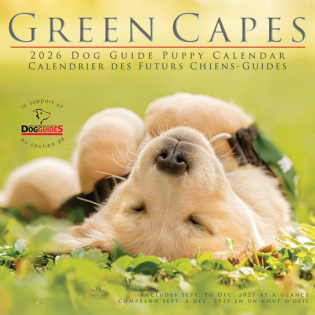 Sample 2 Calendar only 2026 Calendar Cover