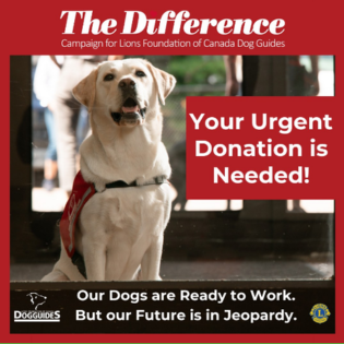 Sample 3 Donations Your Urgent Donation is Needed